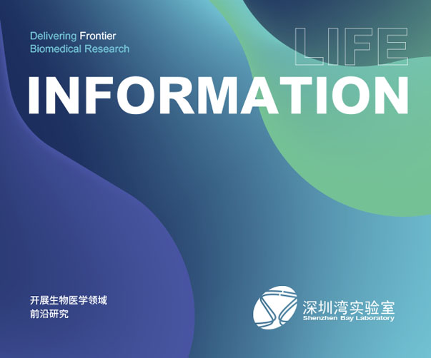 如何通過(guò)上海品牌設(shè)計(jì)樣機(jī)呈現(xiàn)Logo設(shè)計(jì)：讓你的作品更具說(shuō)服力
