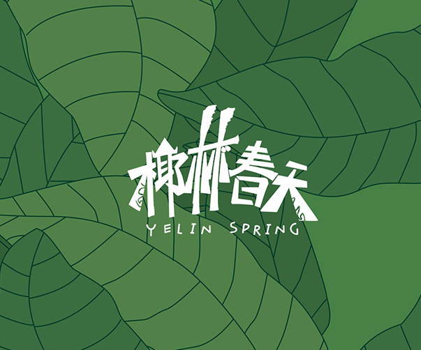 品牌設計公司在VI設計中的服務流程搭建及優(yōu)勢解析