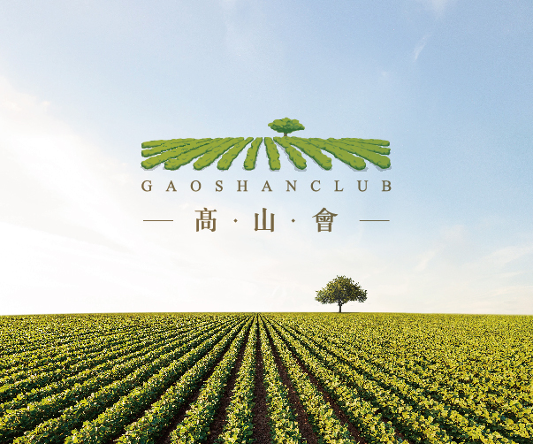 UCI上海vi設(shè)計(jì)公司在藝術(shù)培訓(xùn)vi設(shè)計(jì)中的極簡(jiǎn)之美與懷舊風(fēng)情